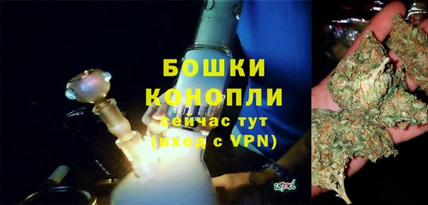 PSILOCYBIN Надым