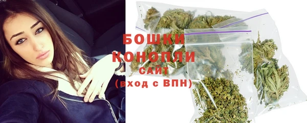 PSILOCYBIN Надым