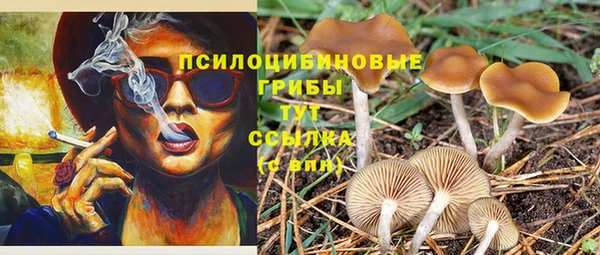 PSILOCYBIN Надым