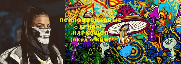 PSILOCYBIN Надым