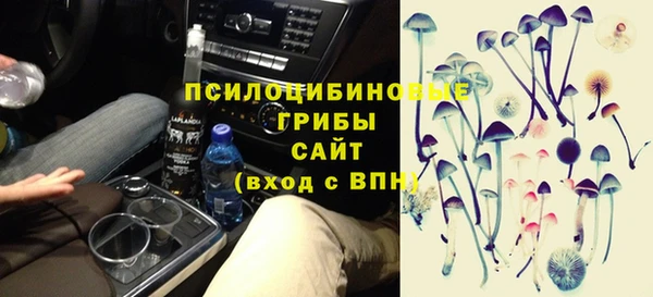 PSILOCYBIN Надым